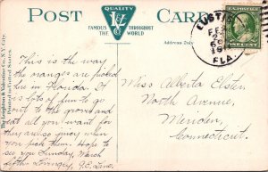 Vintage Postcard Orange Pickers at Work,Florida PM 1911 Eustis FL JV5