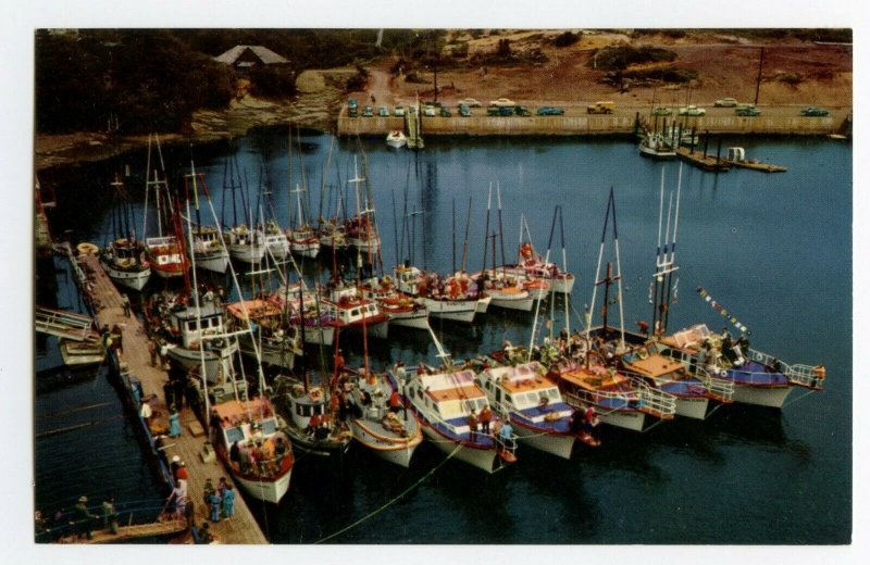 Cove Harbor Boats Fishing Depoe Bay Oregon Postcard