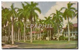  Vintage Postcard Balboa Zona del Canal Hermosa Anvendia of palmaz that conduce