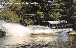 Duck Entering Wisconsin River - Wisconsin Dells, Wisconsin WI  