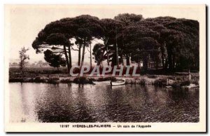 Hyeres les Palmiers - A Corner of & # 39Ayguade - Old Postcard