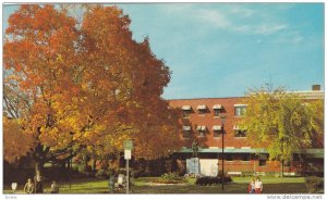 Autumn At The Cenotaph In Pembroke, Ontario, Canada, 1940-1960s