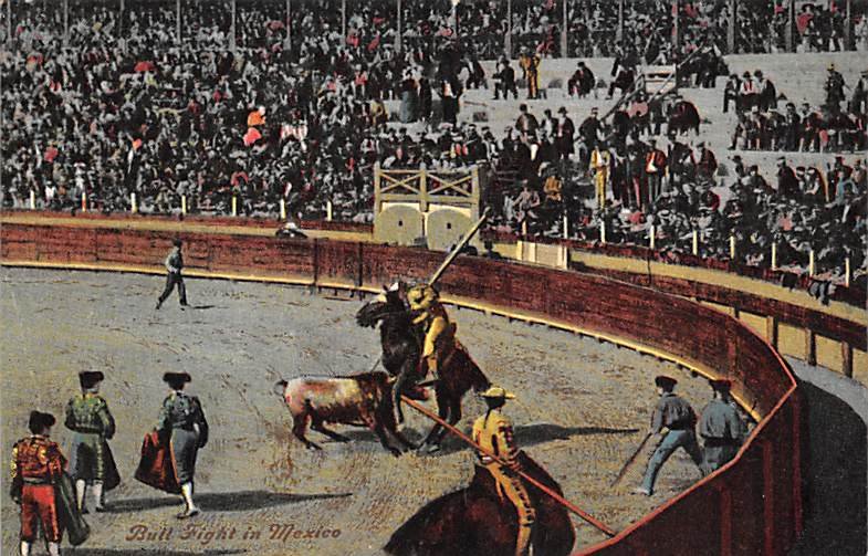 Bull Fight Tarjeta Postal Bullfighting Unused 