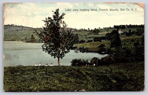 New York~French Woods~Lake View West~People~Panorama View~Field~1909 Postcard