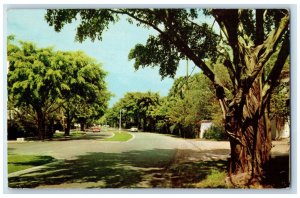 1958 View Looking North on County Road Palm Beach Florida FL Postcard