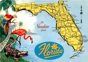 Florida, Fernandina Beach, Jacksonville, St. Augustine, Tallahassee, Postcard