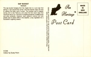 Vermont Maple syrup Sugaring season Sap bucket Weather Postcard