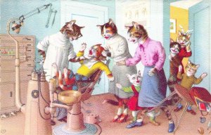 Dressed Animals, Beautiful Mainzer Cats,Cats as Dentist, Belgium, Old Postcard