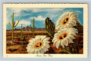 AZ-Arizona State Flower, Saguaro Cactus, Desert Ken Haag Canvas, Chrome Postcard
