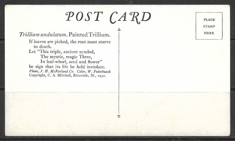 Painted Trillium - Flowers - (MX-056)