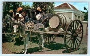 CURACAO, N.W.I. ~ Burro & Wagon WATER VENDOR ca 1960s  Postcard