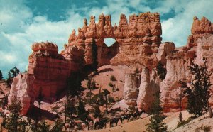 Vintage Postcard View of Bryce Canyon National Park Utah UT