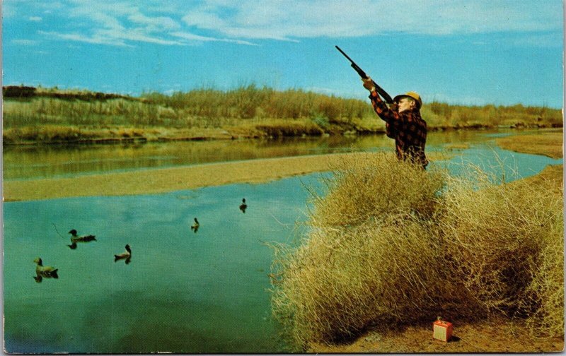 Vtg Greetings from Evanston Wyoming WY Hunter Hunting Shooting Rifle Postcard