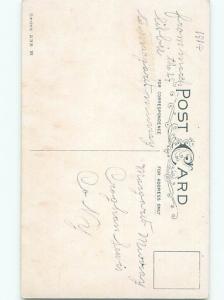 Divided-Back BEAUTIFUL FLOWERS SCENE Great Postcard AA3011