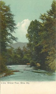 Postcard New Hampshire Wildcat River White Mountains #2519 Rotograph 23-2238