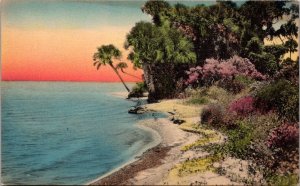 Florida Beautiful Beach Scene Handcolored