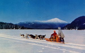 NY - Adirondacks. Huskie Dog Teams, Sleds