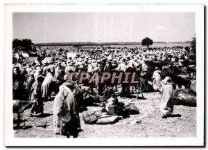 Morocco Old Postcard Safi