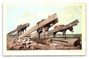 A Rocky Mountain Freight Train Postcard Donkeys Carrying Lumber