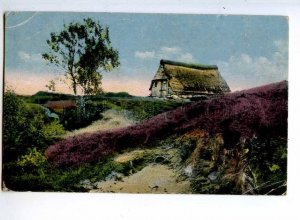 241282 GERMANY BLUHENDE HEIDE Vintage Lohne RPPC