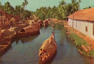 Back Waters Kerala India Boat Postcard