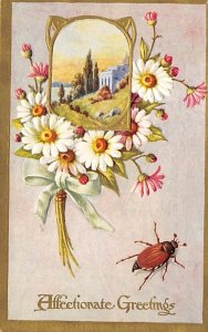 Affectionate Greetings Bug 1912 trimmed