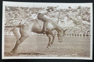 Mint USA Real Picture Postcard Round Up Time Pendleton Oregon Rodeo