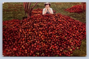 J96/ Nampa Idaho Postcard c1910 Apples Stack Up Child Orchard 279