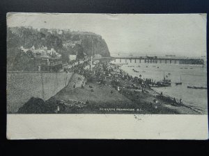 Wales Glamorgan PENARTH Beach & Promenade c1903 UB Postcard by Frith