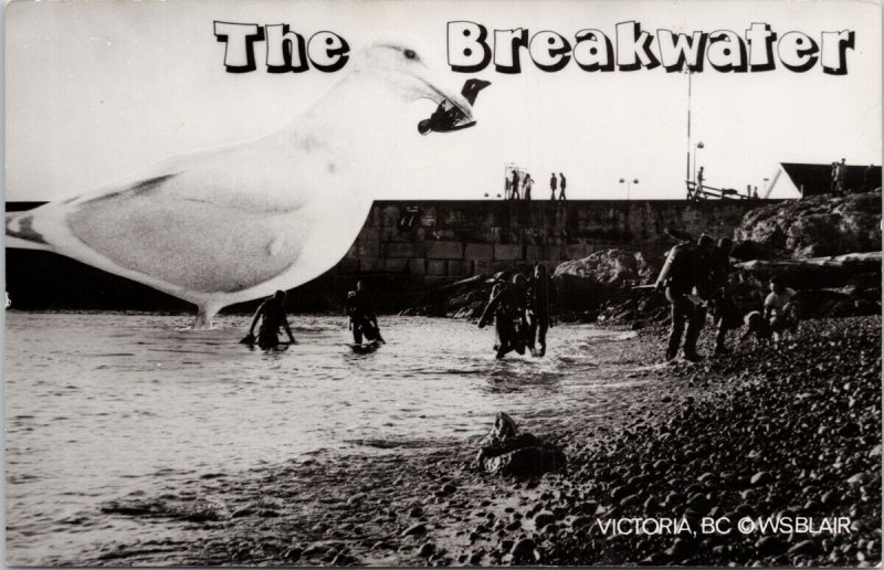 Victoria BC The Breakwater Ogden Point Giant Seagull WS Blair RPPC Postcard G33