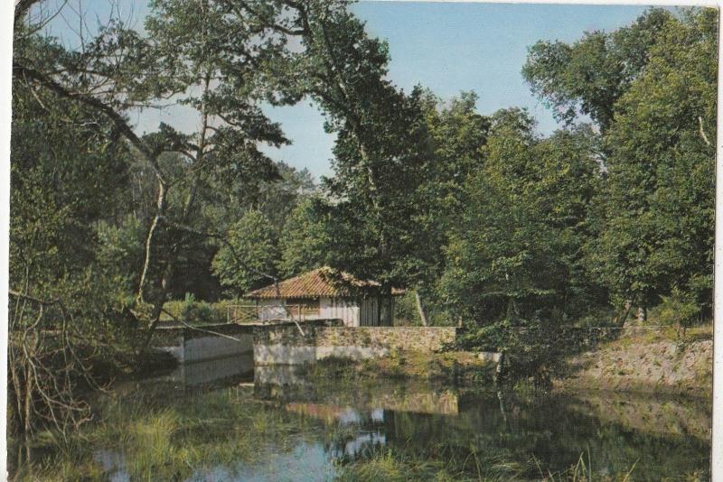 BF20911 parc naturel landes le moulin et l etang de ret  france front/back image