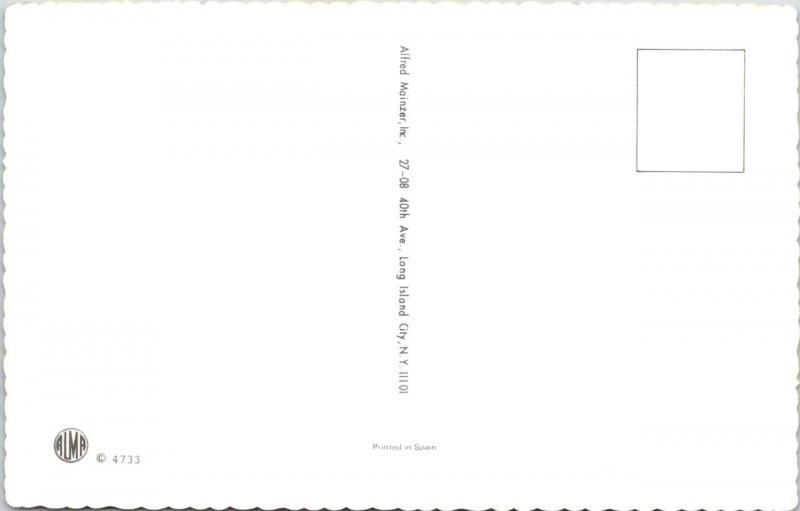 MAINZER Dressed Cats  #4733 CROWDED BUS~SUBWAY Anthropomorphic SPAIN Postcard