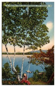 VTG Mount Chocorua, Birch Trees, Flowers, Lake Winnipesaukee, NH