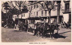 Madeira Funchal Portugal The Cab Rank Real Photo Postcard