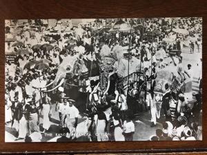 RPPC Elephants, The Kandy Perahera, Ceylon, India d9