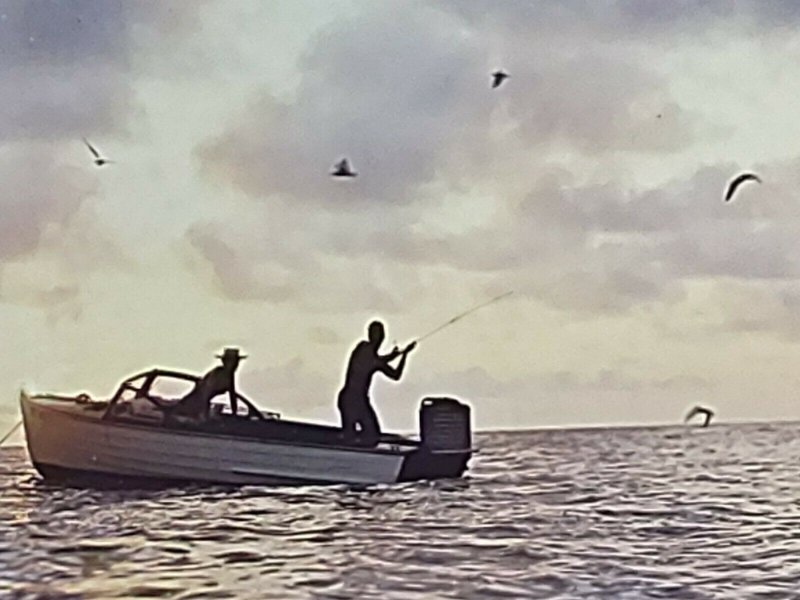 Florida Fishing Barracuda Vintage Postcard Unposted