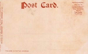 WALK ALONG LAKE WORTH PALM BEACH FLORIDA POSTCARD (c.1905)