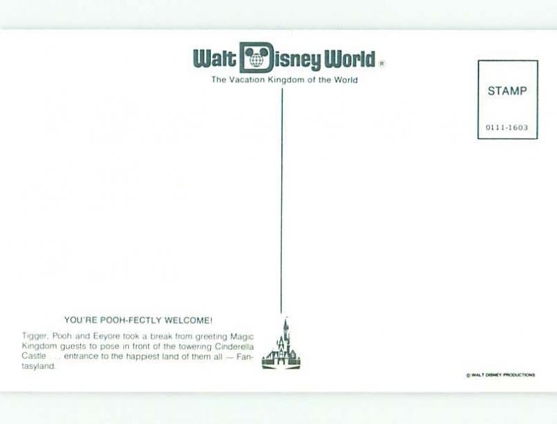 Unused Pre1980 TIGGER & EEYORE & WINNIE THE POOH AT DISNEYWORLD Orlando FL p2644