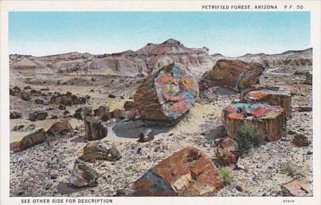 Arizona The Petrified Forest Petrified Wood