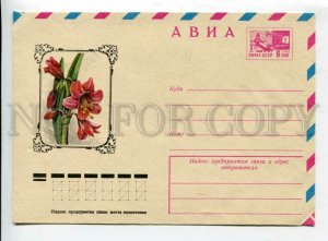 430713 USSR 1976 year Kurtenko krinum flower postal COVER