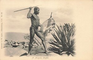 SOUTH AFRICA~A MAGATU KAFFIR WARRIOR~1900s PHOTO POSTCARD