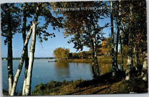 Postcard NY Greetings from Tupper Lake - view of lake through birch trees