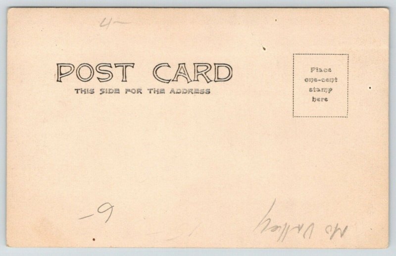 Missouri Valley IA~Summer's Mantle~Enormous Elevator~Churches~Homes RPPC c1906