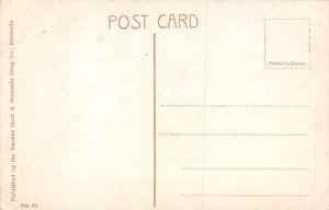 Great Rubber Tree Bermuda Postcard