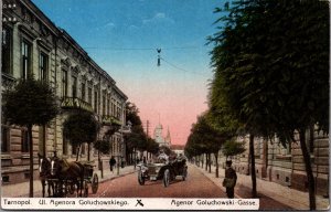 Ukraine Tarnopol Ul Agenora Goluchowskiego Ternopil Vintage Postcard C055