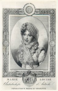 Portrait of Empress Marie Louise of Austria Arenenberg Castle Fine Art Postcard 