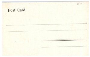 Fantasy Of A Wedding Egypt Postcard