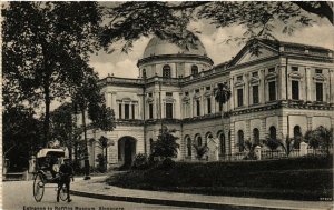 PC CPA SINGAPORE, ENTRANCE TO RAFFLES MUSEUM, VINTAGE POSTCARD (b4273)