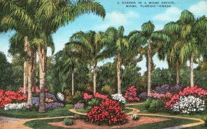 Vintage Postcard 1943 A Flowers Garden Coconut Palm Trees Miami Florida FL Art