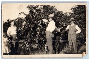 1911 Orange Tree Farm View Men Girl Ft. Myers FL RPPC Photo Posted Postcard